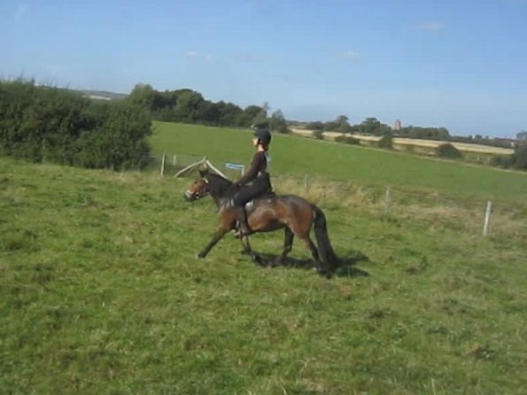 Appley trotting along (2)