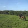 Appley trotting along