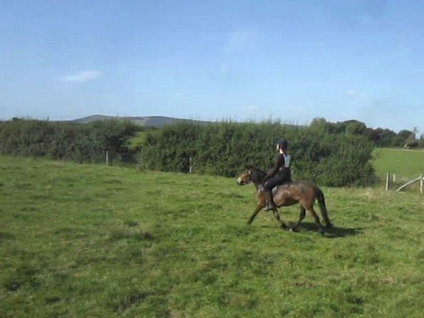 Appley trotting along