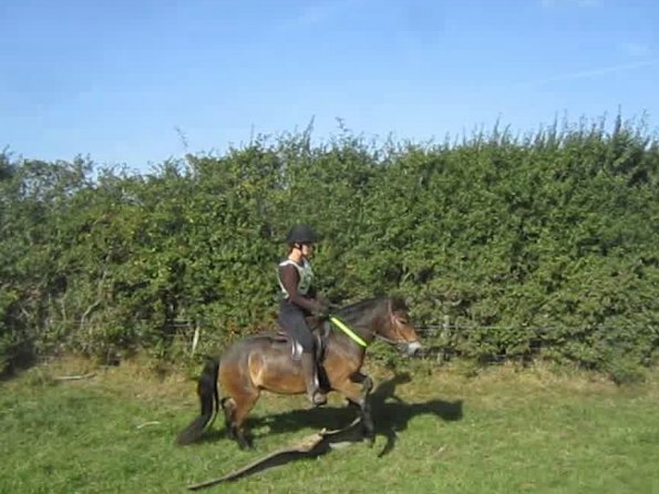 Julia and Appley jump (2)