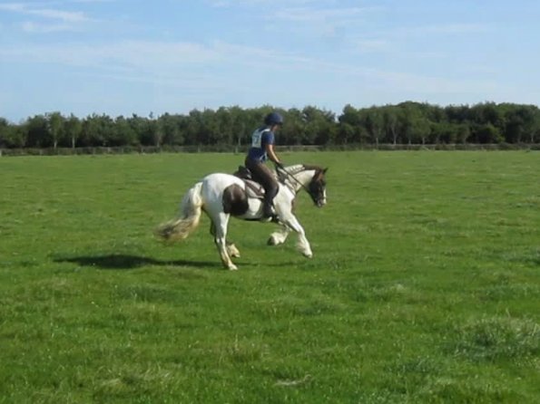Lance canter (2)