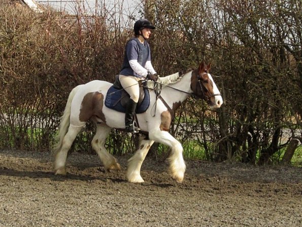 Lance warming up (2)