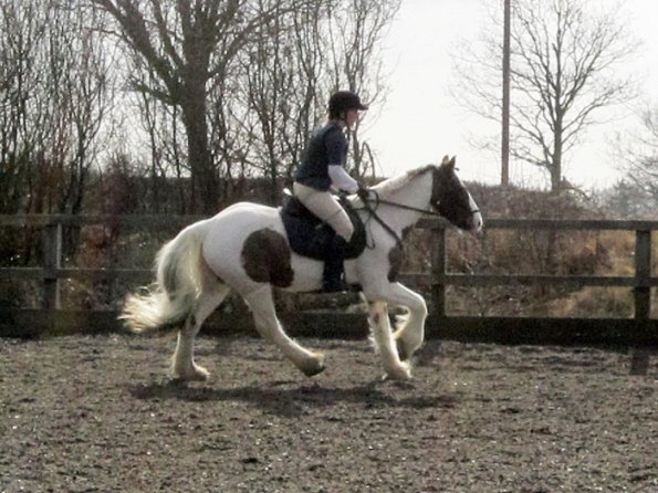 Lance warming up (3)