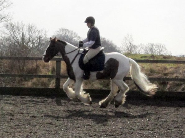 Lance warming up (5)