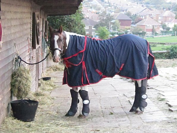 On the yard waiting to leave (2)