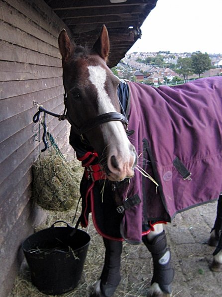 On the yard waiting to leave (3)