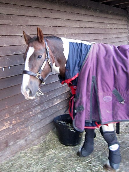 On the yard waiting to leave