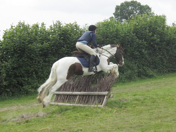 Lance brush fence (2)