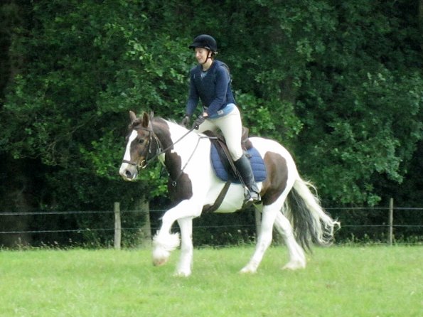 Lance canter (2)