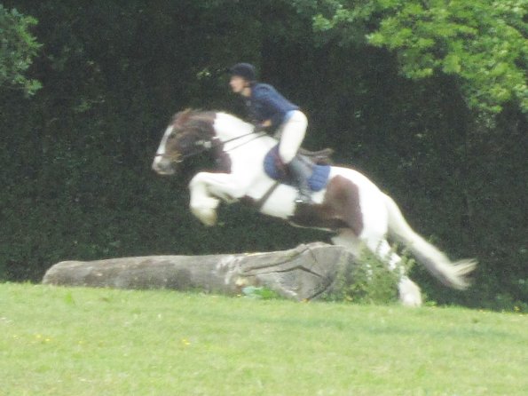 Lance little log (2)