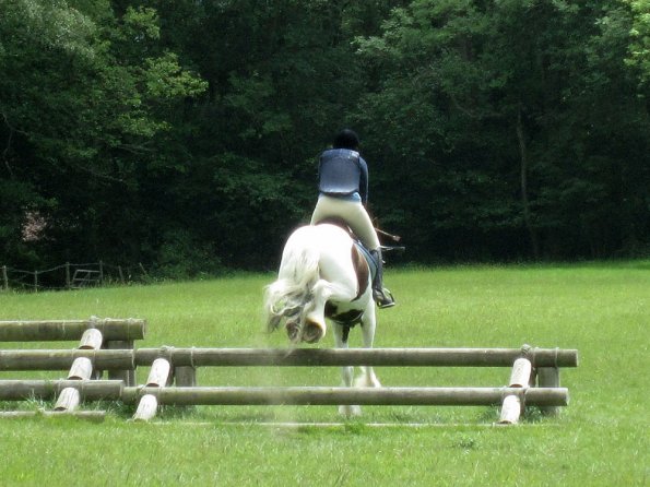 Lance triple bar (2)