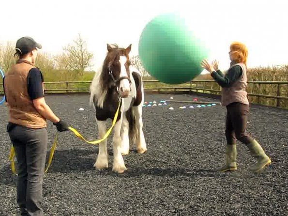 Ball Lance video (2)