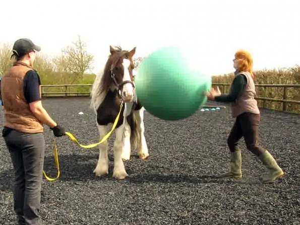 Ball Lance video (3)