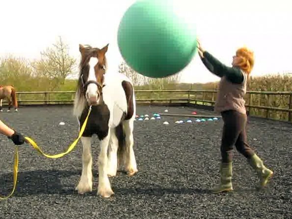 Ball Lance video (4)