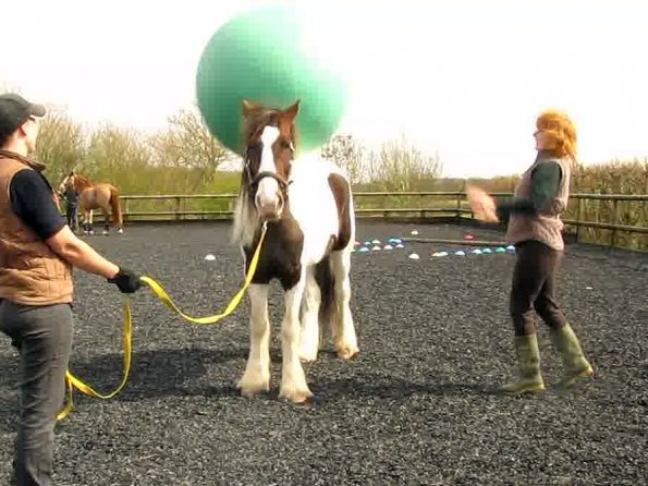 Ball Lance video (5)