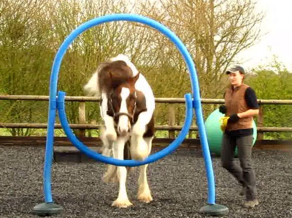 Blue thing Lance (2)