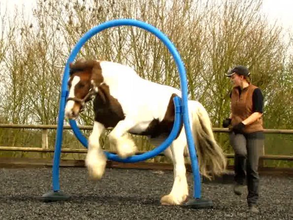 Blue thing Lance (3)