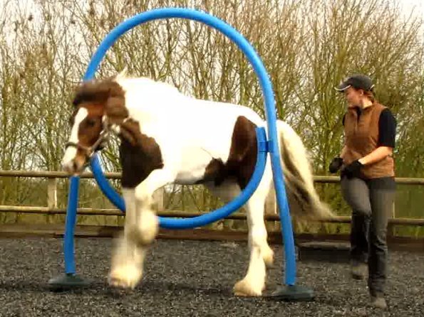 Blue thing Lance (4)