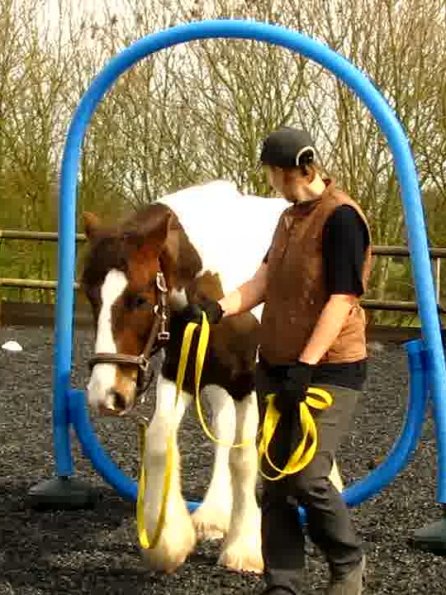 Blue thing Lance (5)