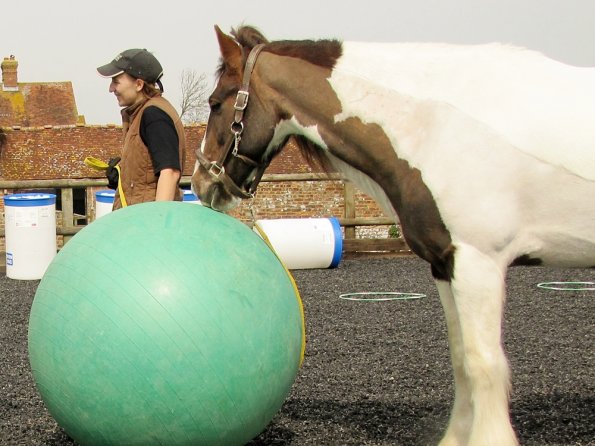 Exhausted ponies (9)