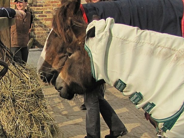 Lance and Appley concrete paddock (2)