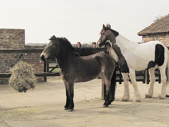 Lance and Appley concrete paddock (4)