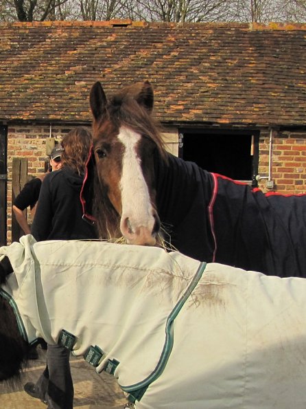 Lance and Appley concrete paddock
