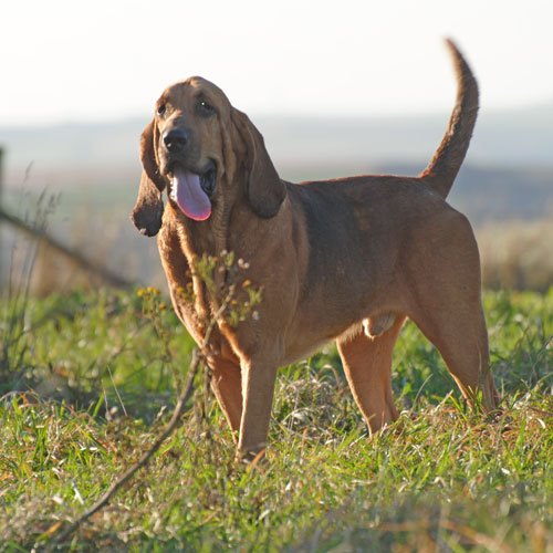 20385_277377659050299_711038952_n