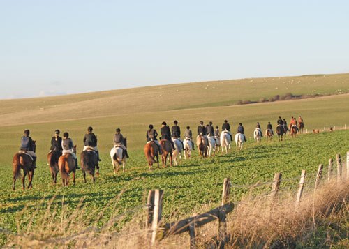 22530_277377802383618_1217915445_n