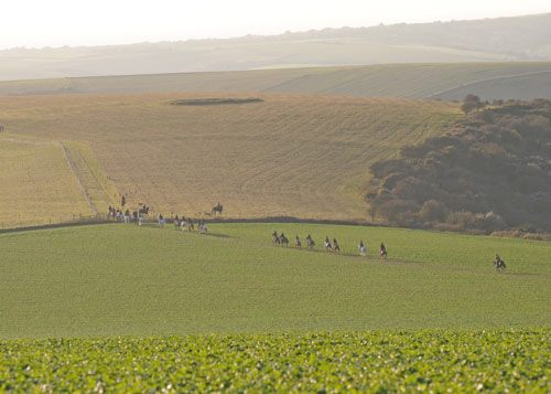 295772_277377929050272_1473145102_n