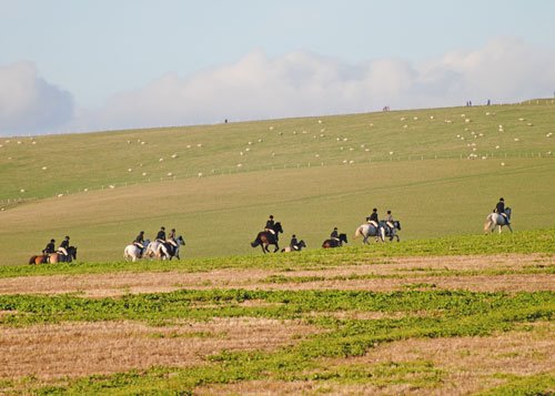 302703_277377615716970_13754497_n