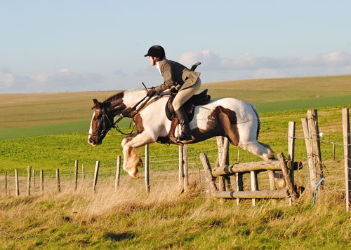 395077_277377382383660_1944198771_n