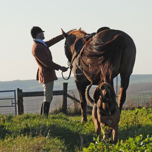 405132_277377719050293_1270499097_n