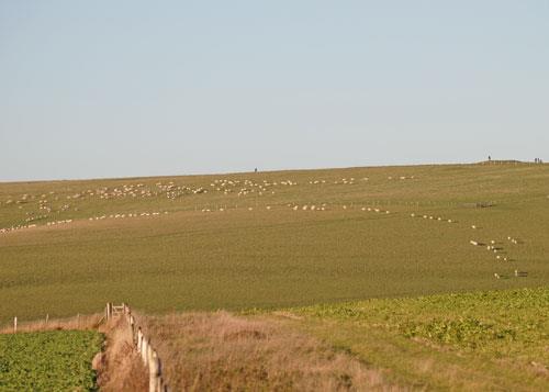 406830_277377959050269_607595093_n