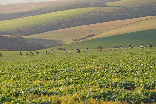 533901_277377875716944_910684629_n