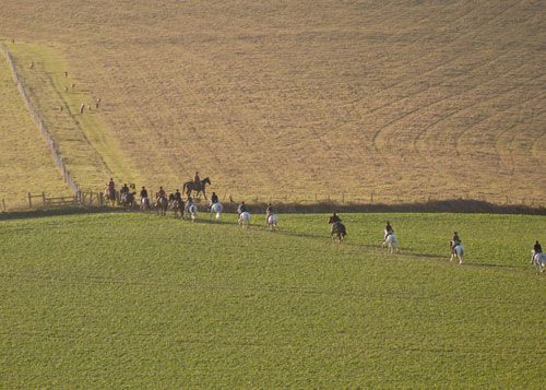 539820_277377892383609_404304283_n