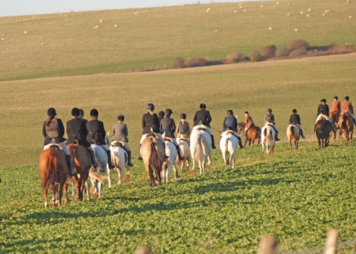 552334_277377832383615_2133569648_n