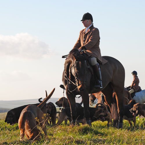 558970_277377642383634_1905867192_n