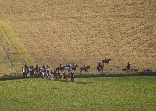 598574_277377939050271_1675645942_n