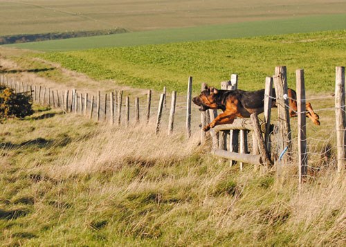 604068_277377205717011_115209746_n