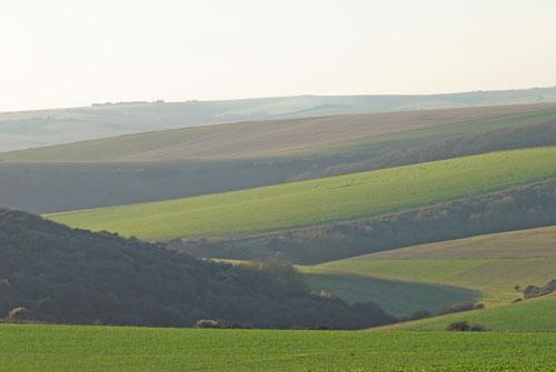 60723_277377969050268_1672779072_n