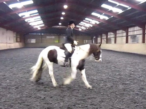 vlcsnap-2010-11-14-16h44m20s161