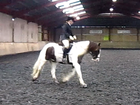 vlcsnap-2010-11-14-16h45m45s2