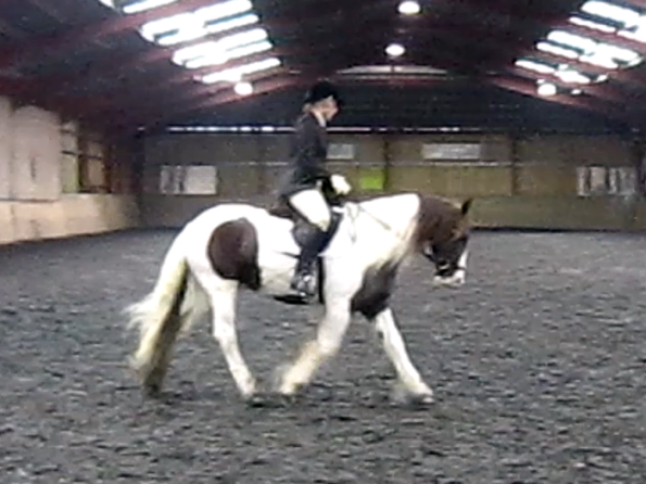 vlcsnap-2010-11-14-16h45m50s65