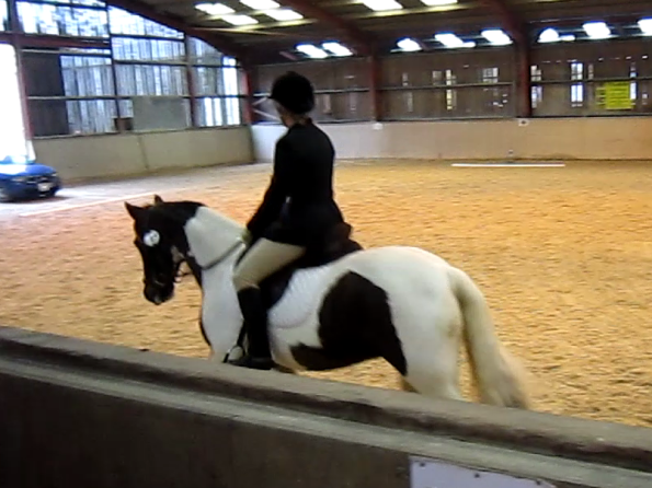 vlcsnap-2010-11-14-16h50m19s195