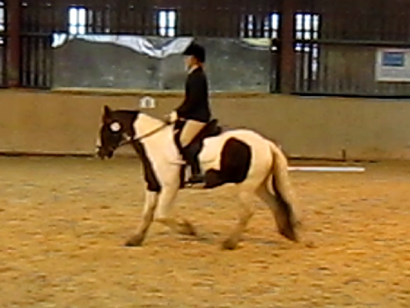 vlcsnap-2010-11-14-16h50m51s254