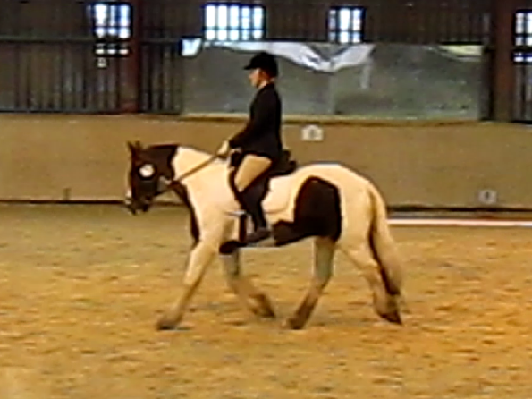 vlcsnap-2010-11-14-16h50m55s53