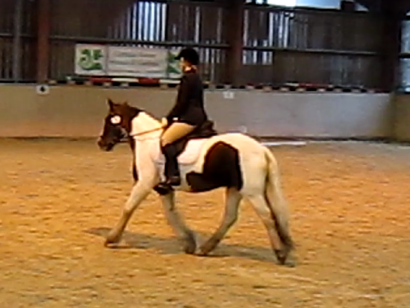 vlcsnap-2010-11-14-16h51m46s40