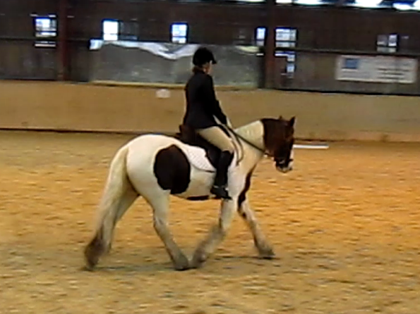 vlcsnap-2010-11-14-16h54m09s186