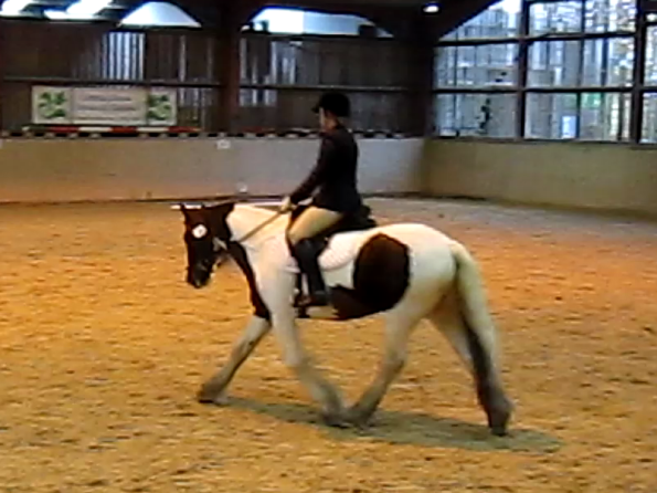 vlcsnap-2010-11-14-16h54m40s244